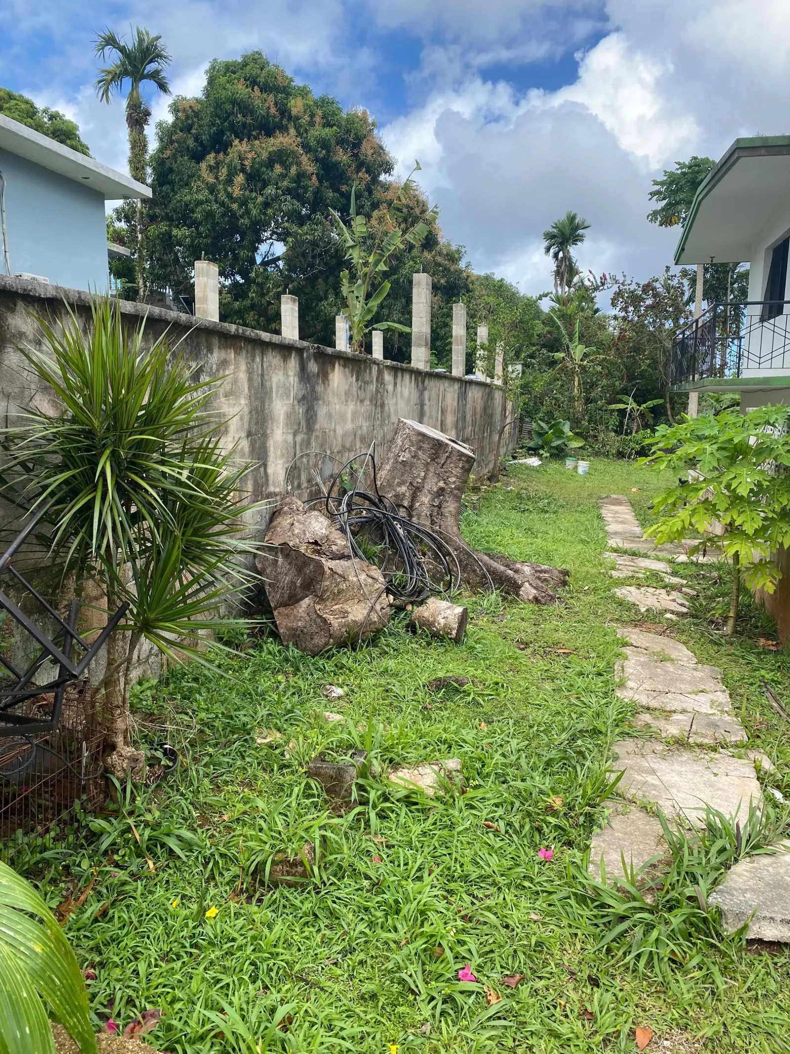 Overgrown yard beside a block wall, with concrete column stubs and a cut tree stump